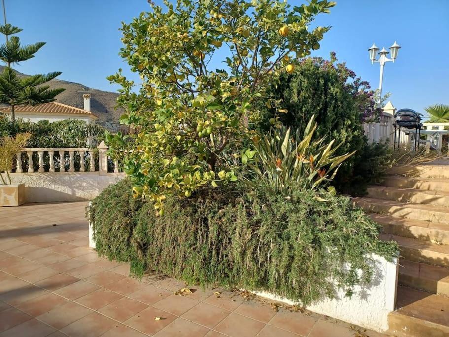 Casa Los Olivos, Villa With A Pool - Alicante, Alicante